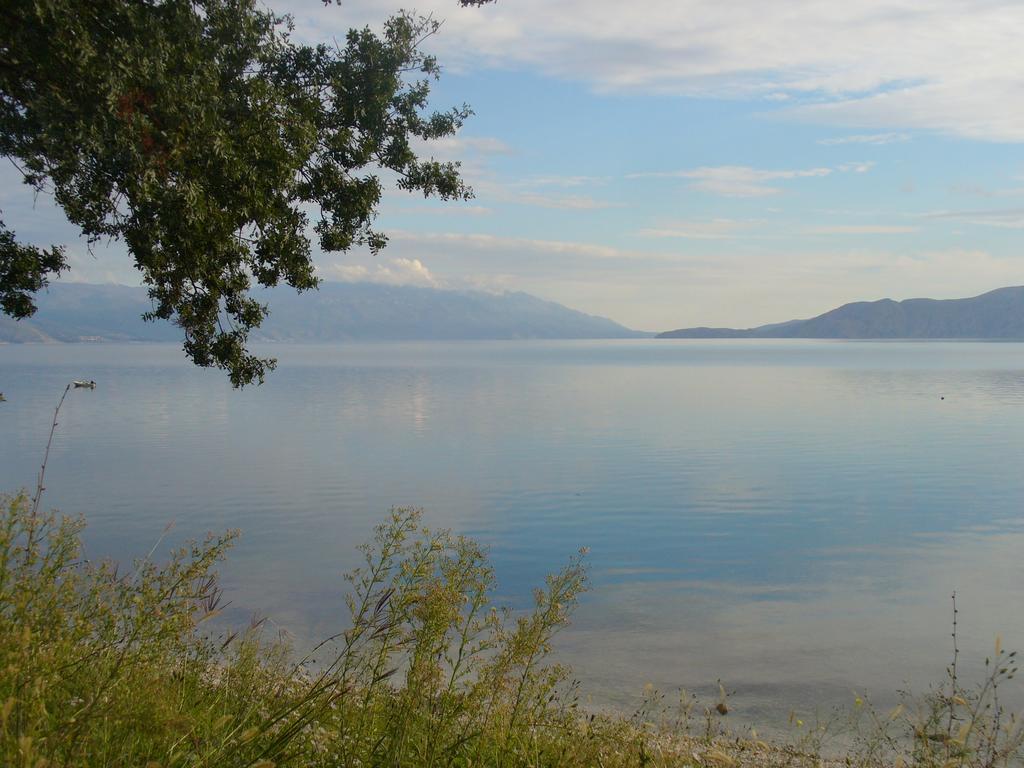 Apartments Maricic 200 Meters From The Beach 诺维·维诺多尔斯基 外观 照片
